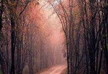 挪威致命一击捷克，晋级四强：冰雪王者的凯歌与黑马的落幕