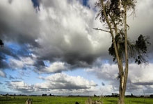 三狮军团捍卫温布利荣光：英格兰主场扬威，向世界宣告不败决心