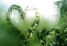 波兰凯旋，梦想之翼已然展开，通往荣耀之路荆棘与荣光并存！