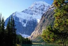 罗马队员受伤，主力缺阵成隐忧：红狼军团面临的严峻考验