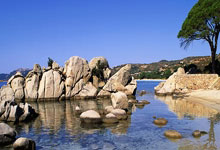 比利时战胜捷克，稳固小组头名